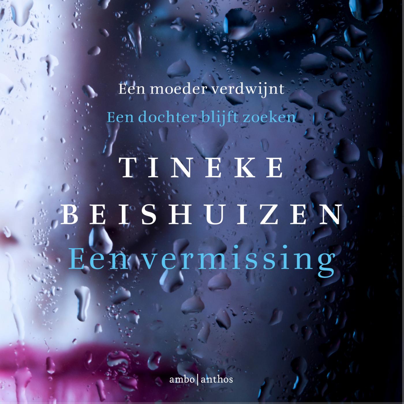 Omslag van Een vermissing