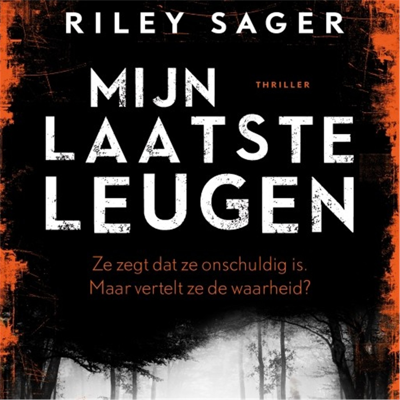 Omslag van Mijn laatste leugen