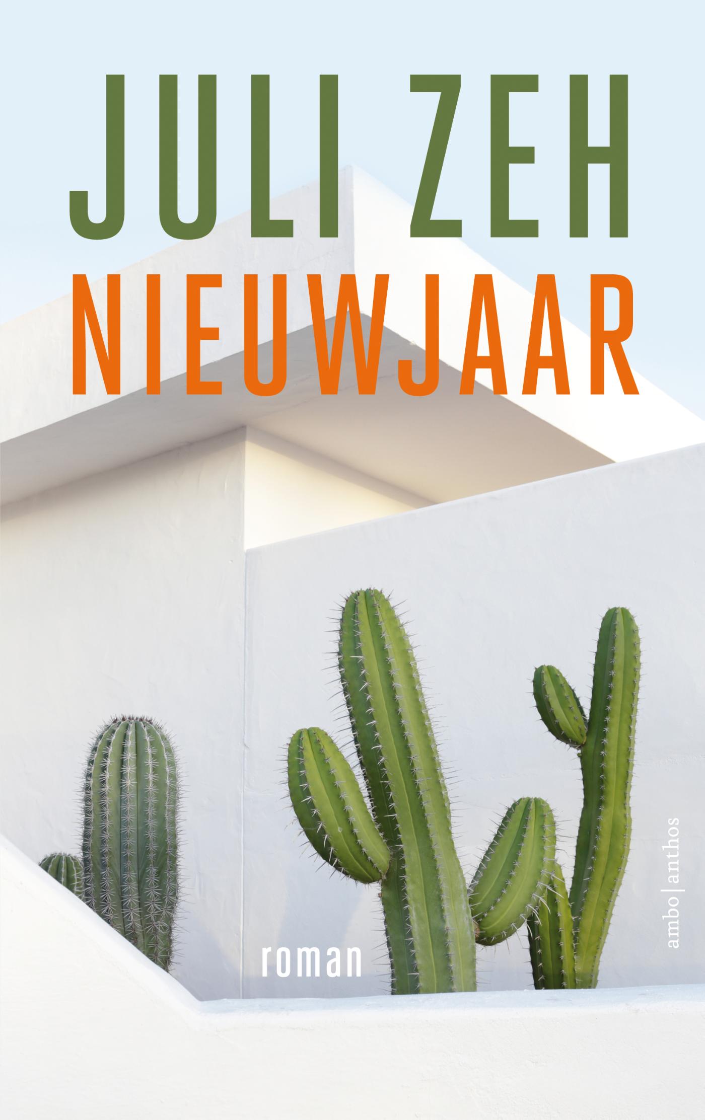 Omslag van Nieuwjaar