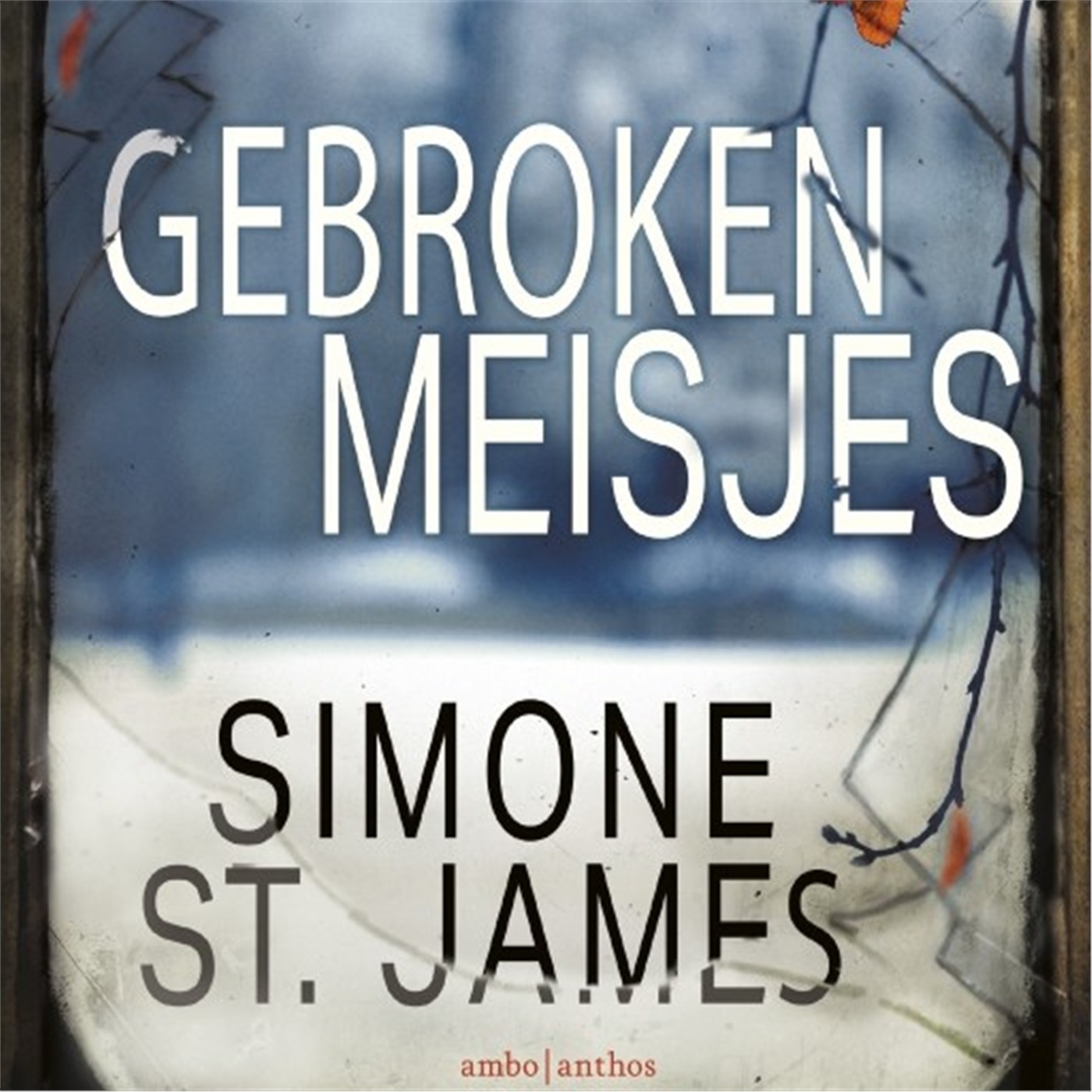 Omslag van Gebroken meisjes