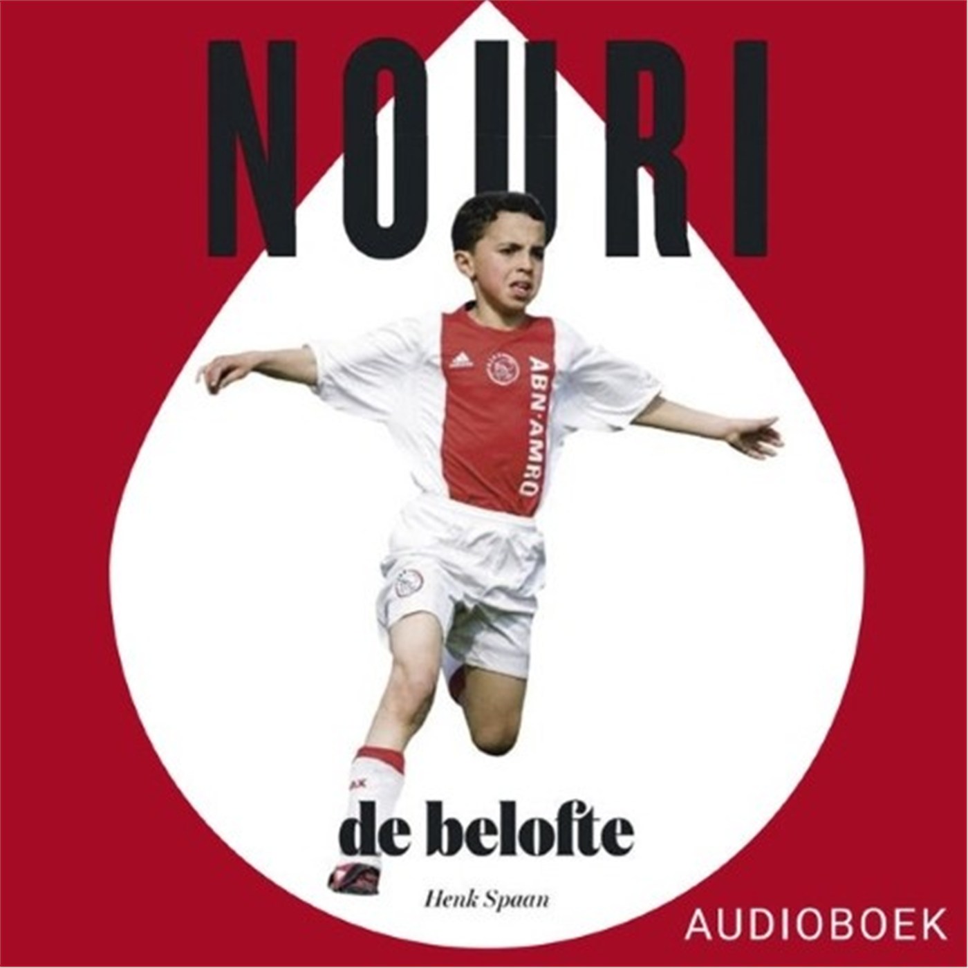 Omslag van Nouri, de belofte