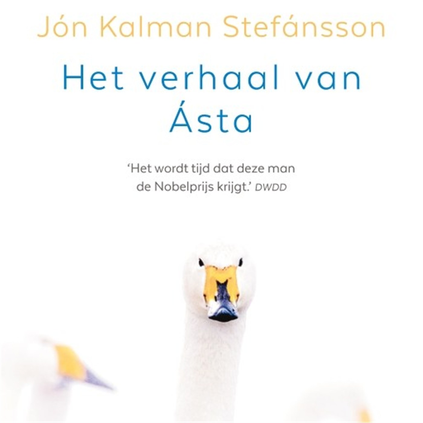 Omslag van Het verhaal van Ásta
