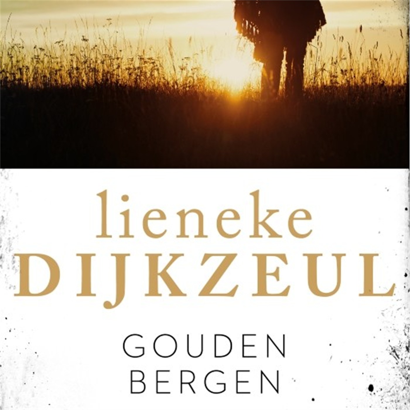 Omslag van Gouden bergen