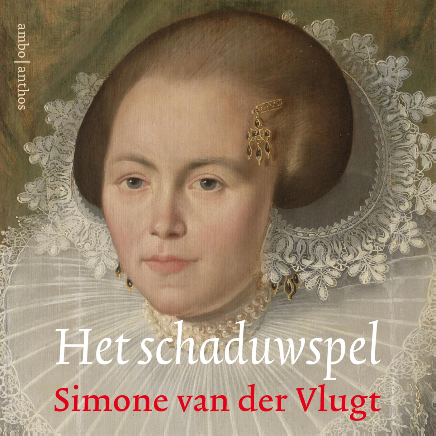 Omslag van Het schaduwspel