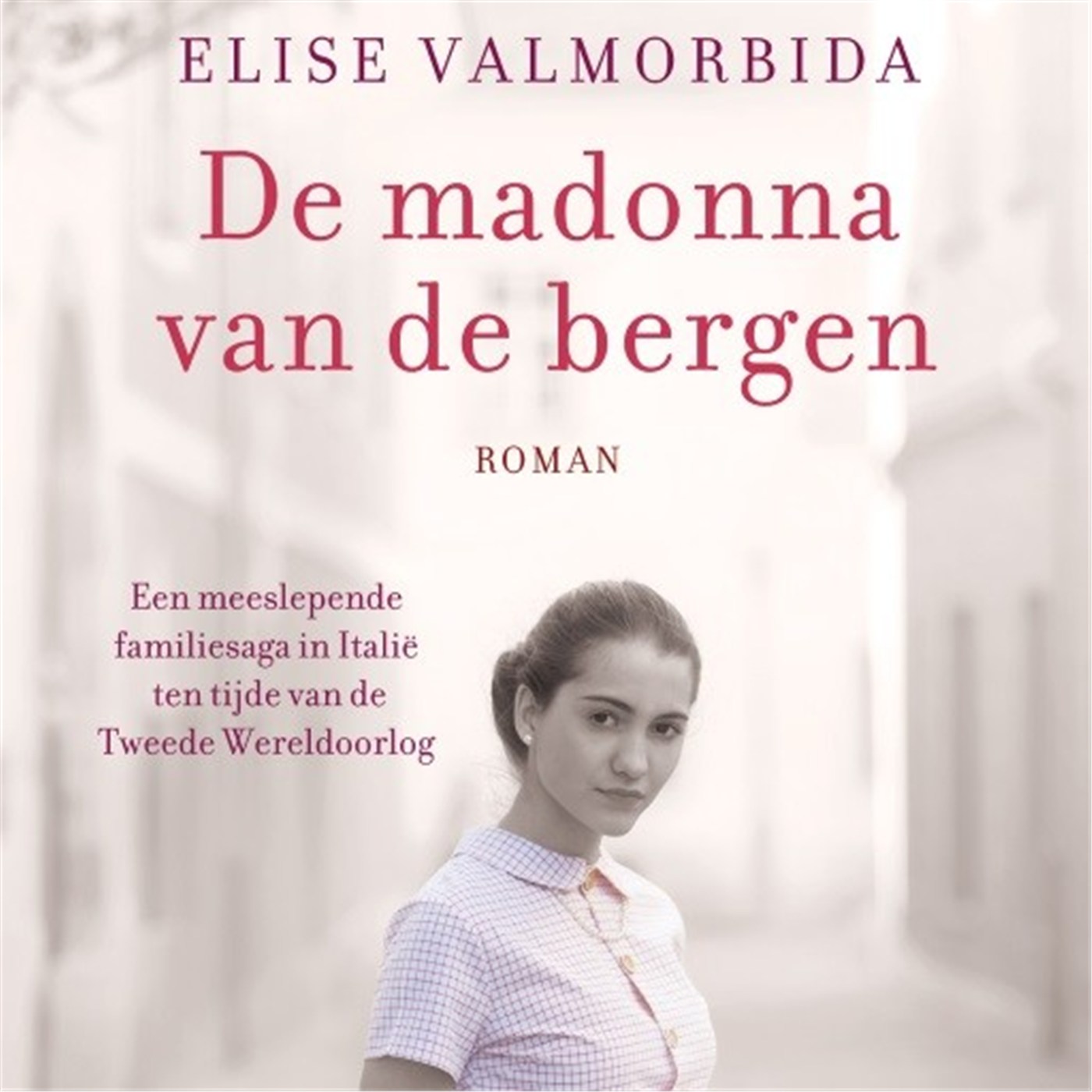 Omslag van De madonna van de bergen