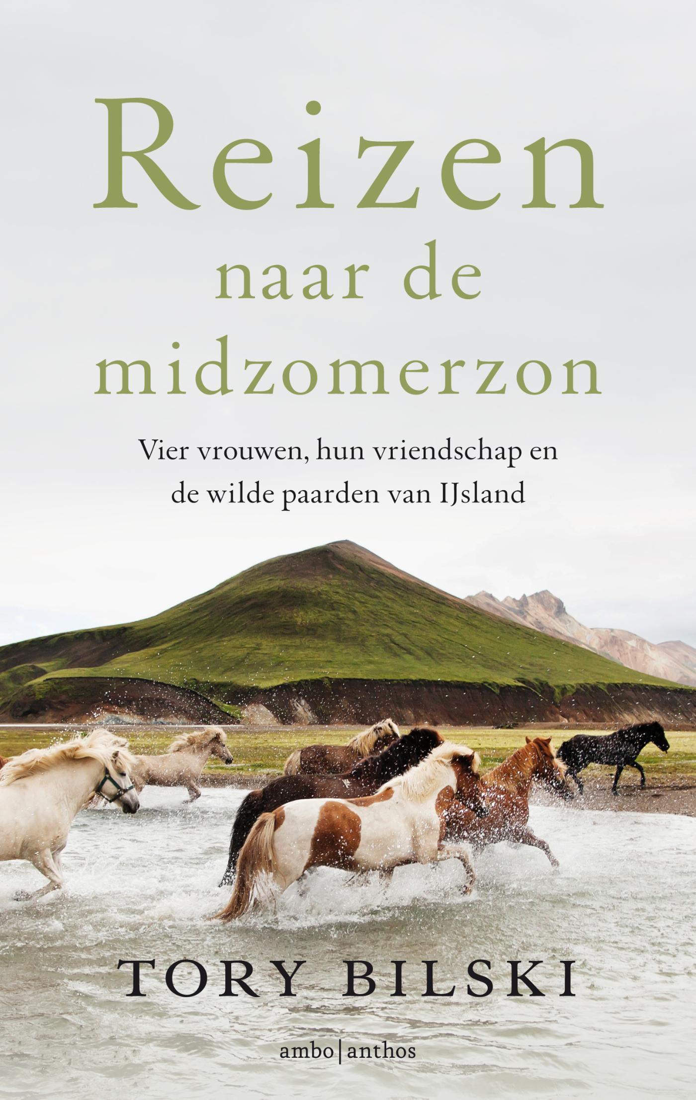 Omslag van Reizen naar de midzomerzon