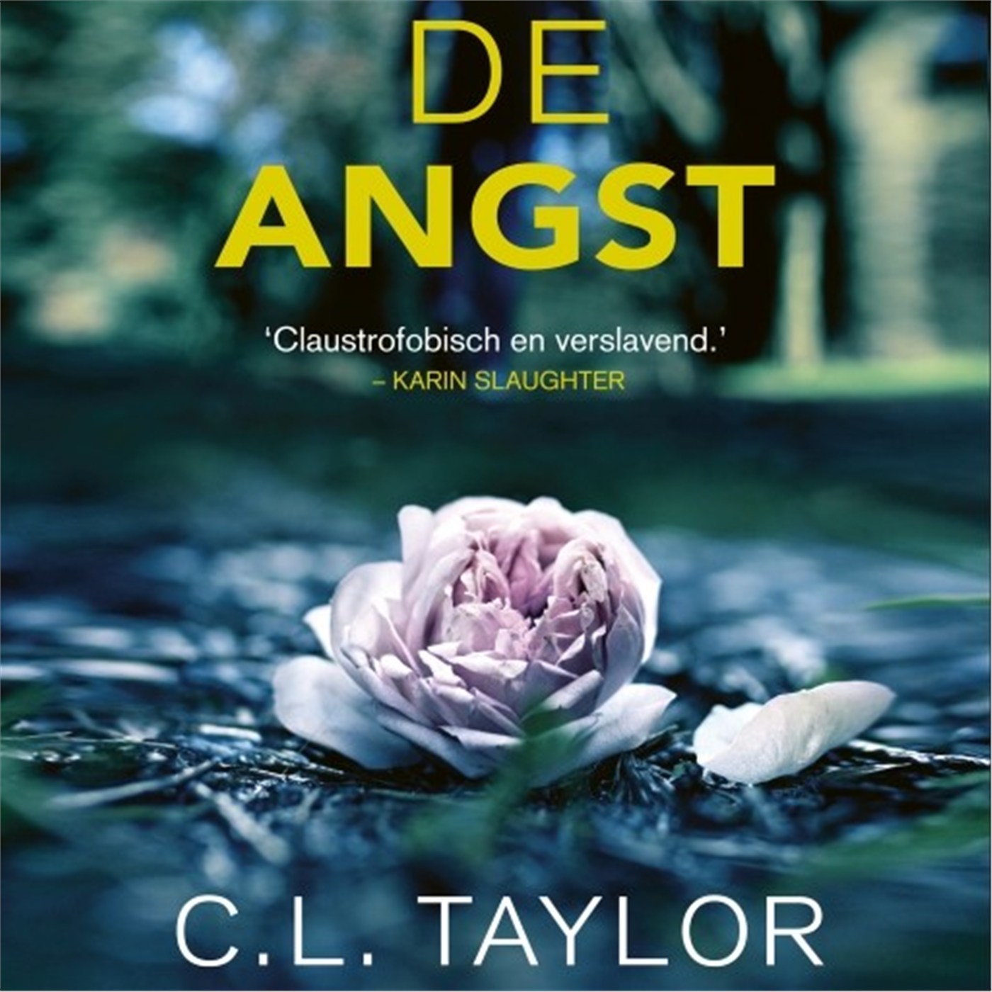 Omslag van De angst