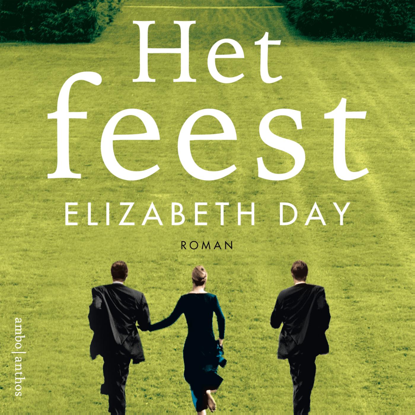 Omslag van Het feest