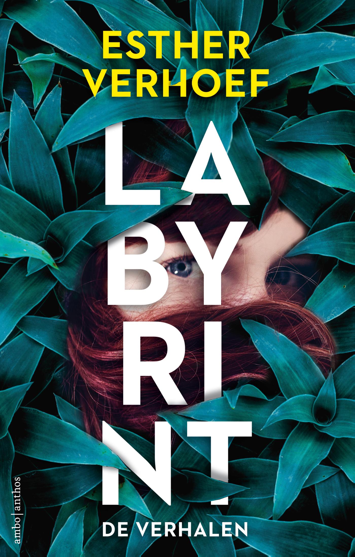 Omslag van Labyrint - De verhalen
