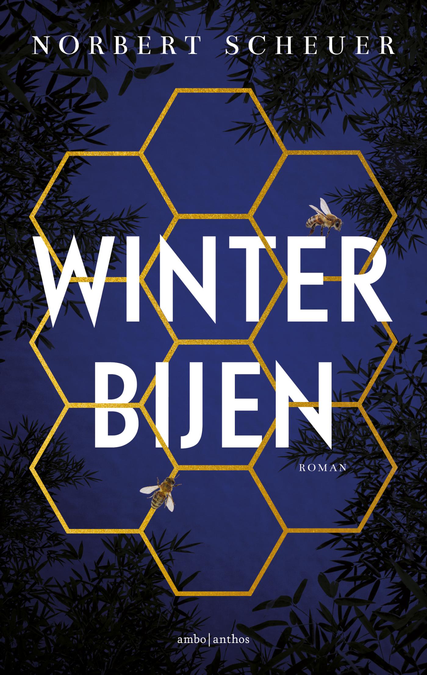 Omslag van Winterbijen