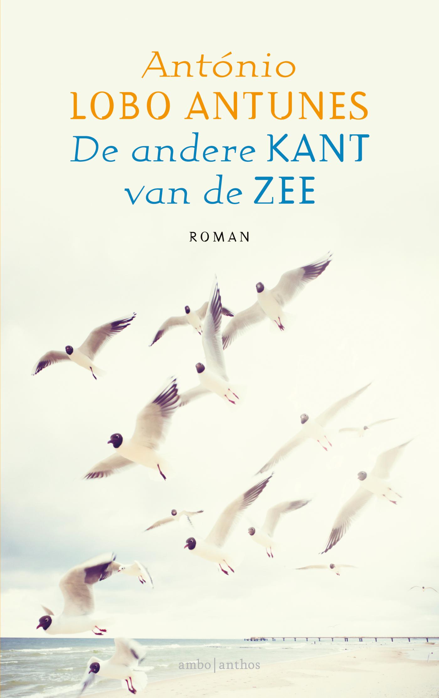 Omslag van De andere kant van de zee