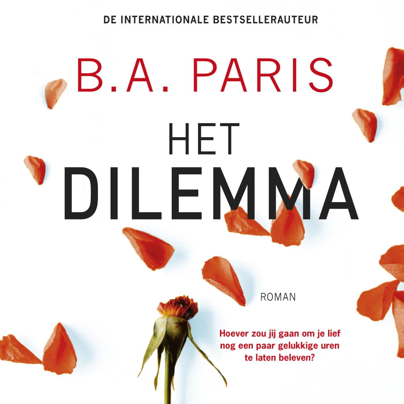Omslag van Het dilemma