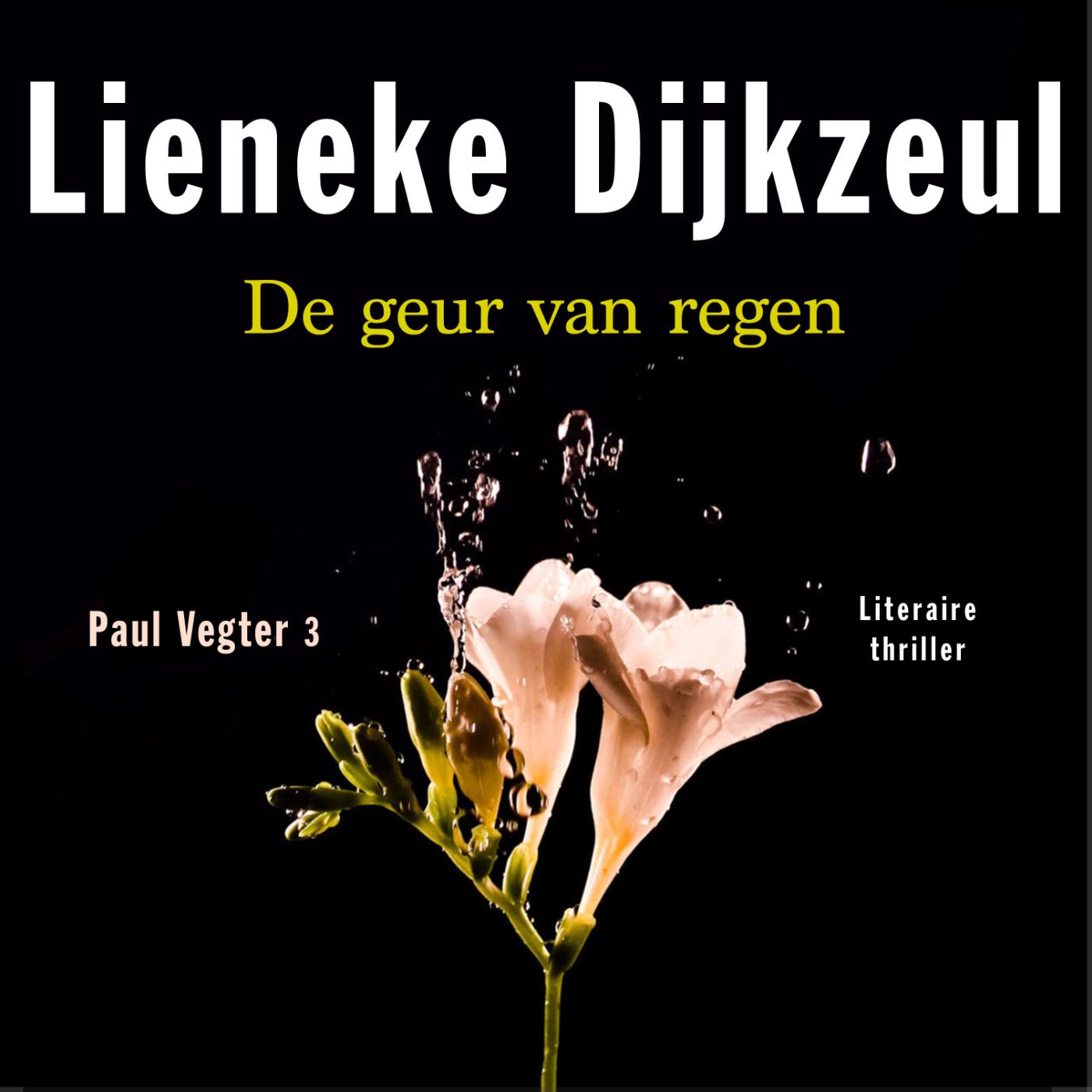 Omslag van De geur van regen