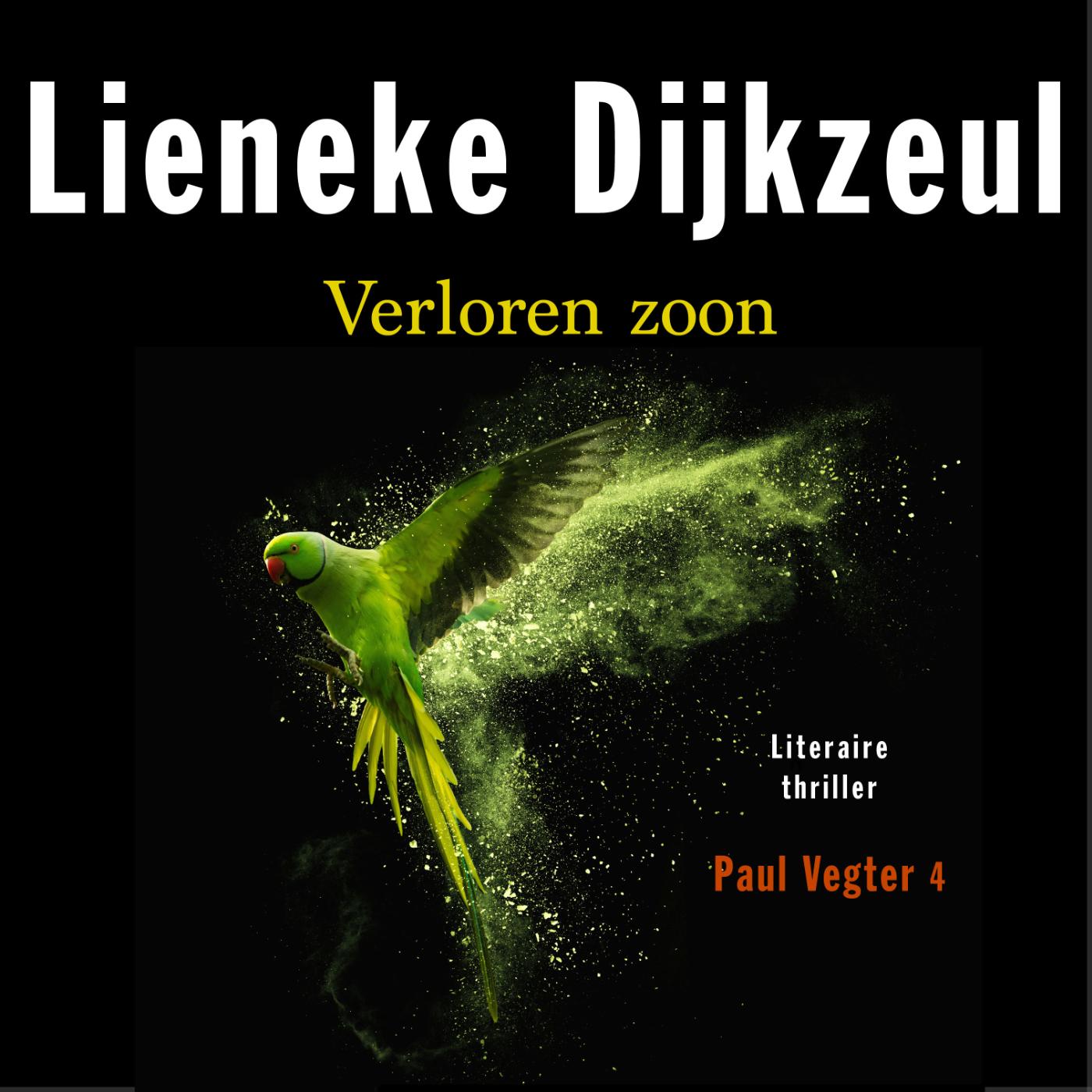 Omslag van Verloren zoon