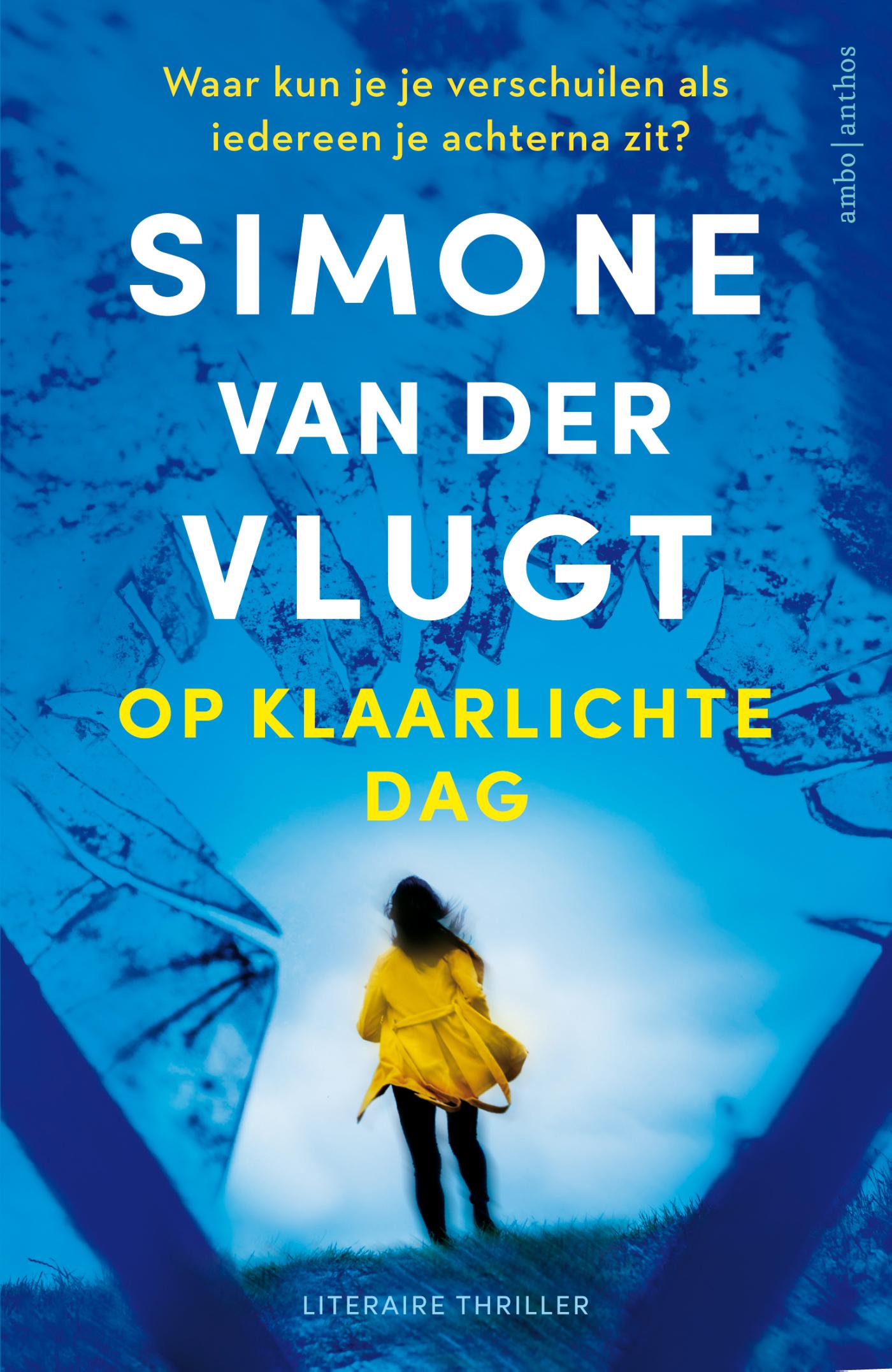 Omslag van Op klaarlichte dag
