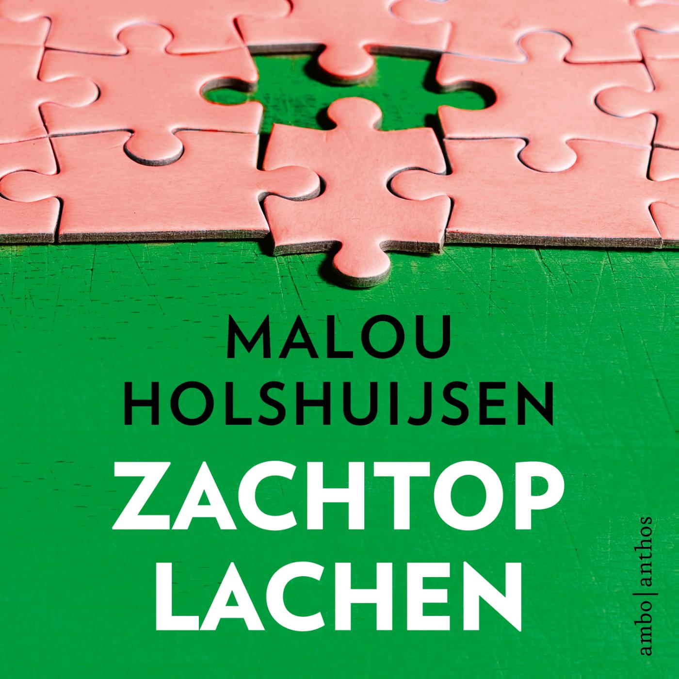 Omslag van Zachtop lachen