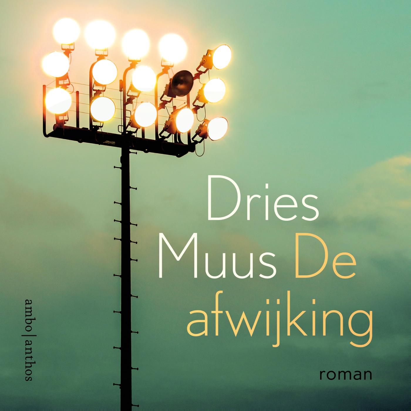 Omslag van De afwijking