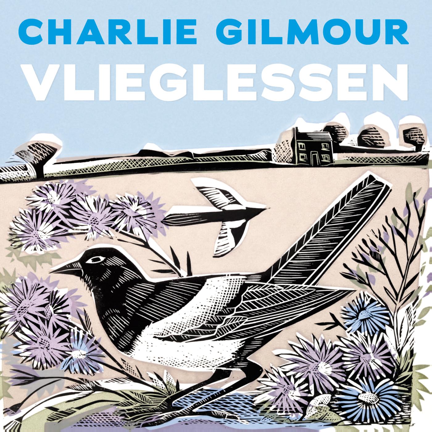 Omslag van Vlieglessen