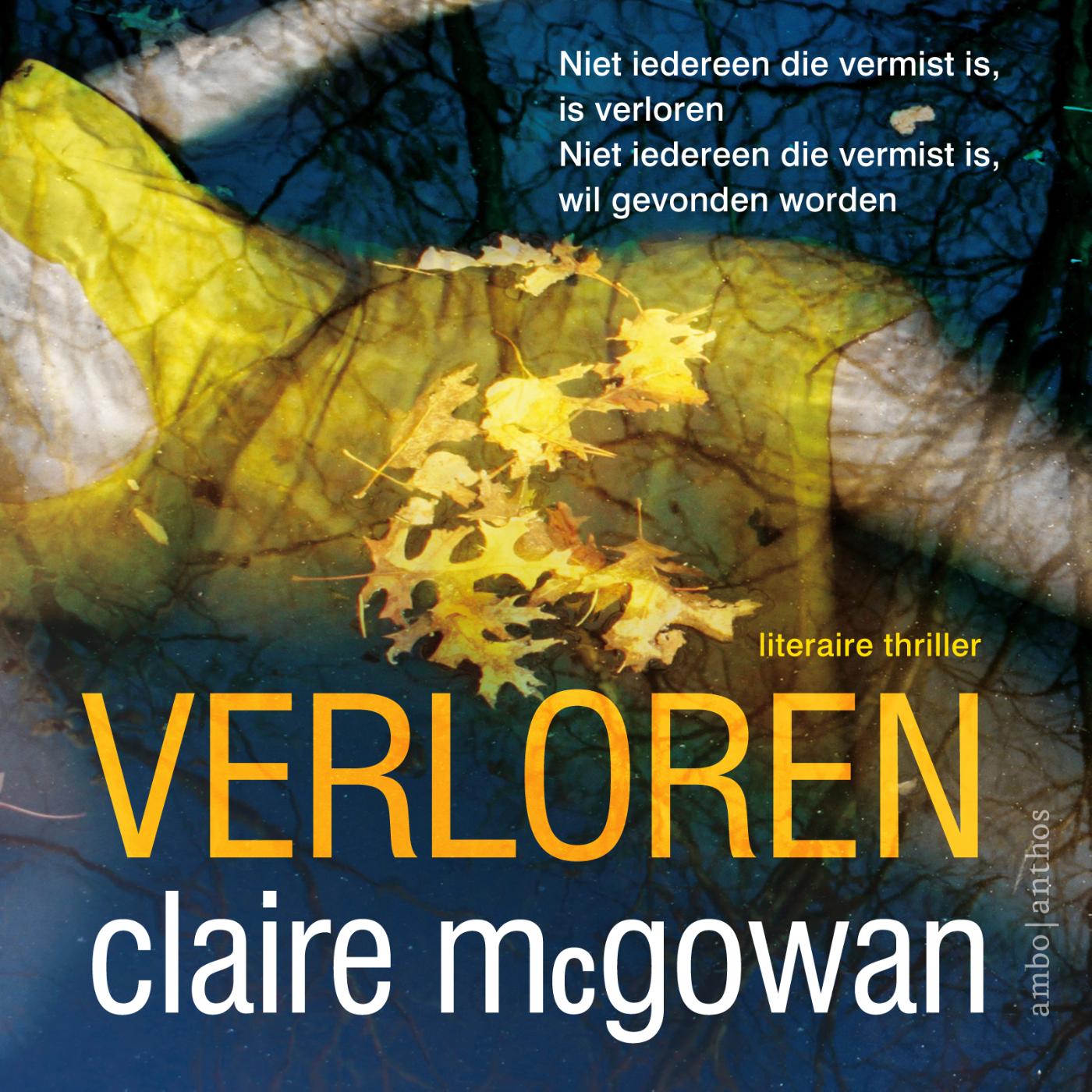 Omslag van Verloren
