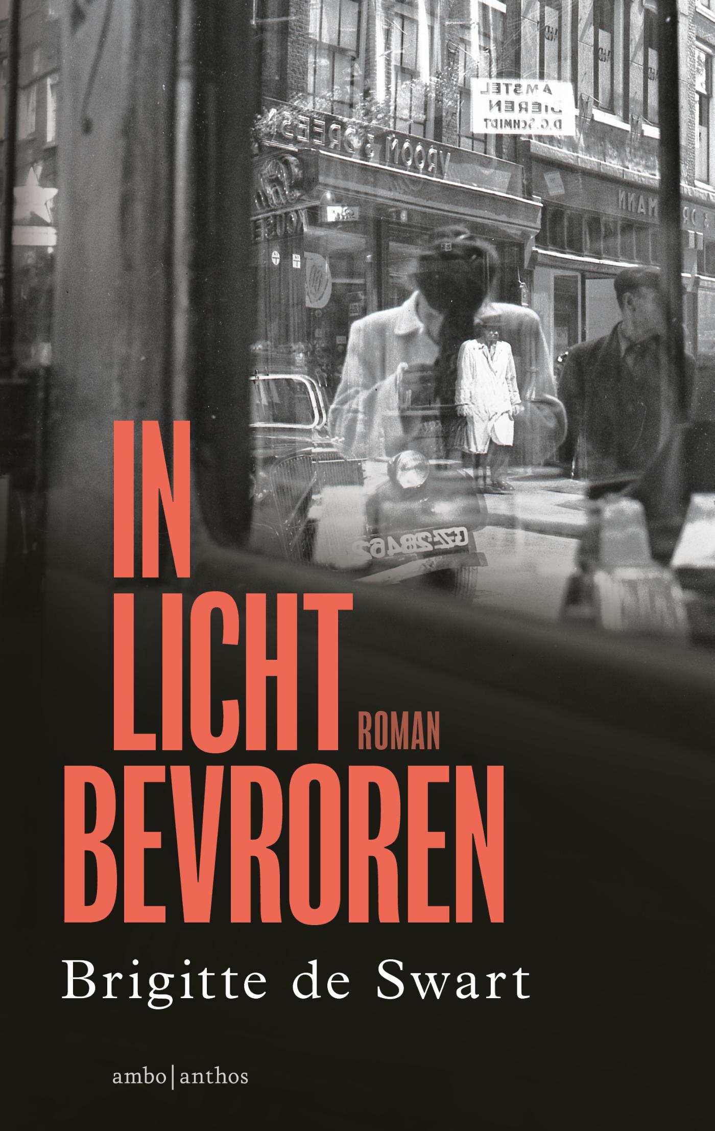 Omslag van In licht bevroren