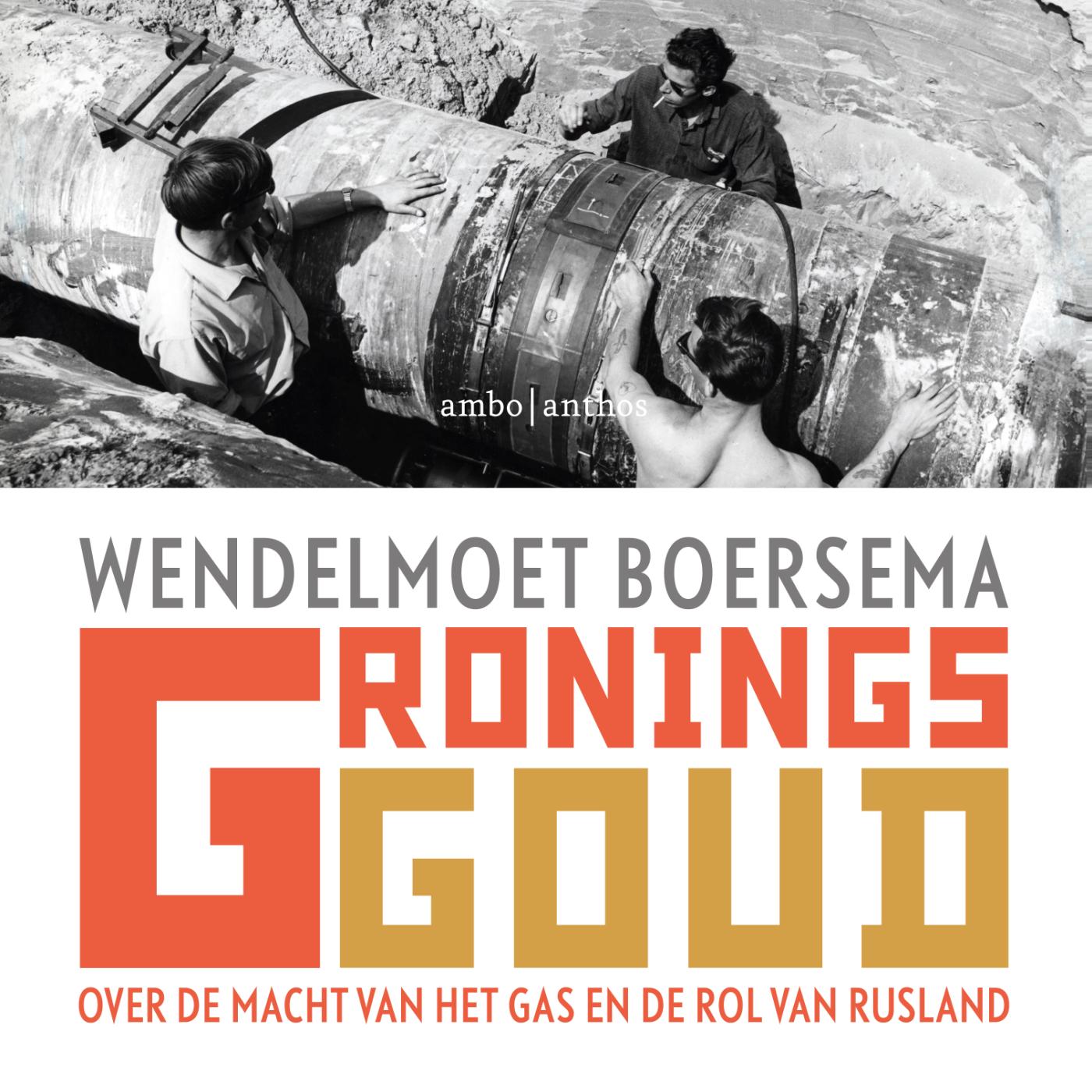 Omslag van Gronings goud