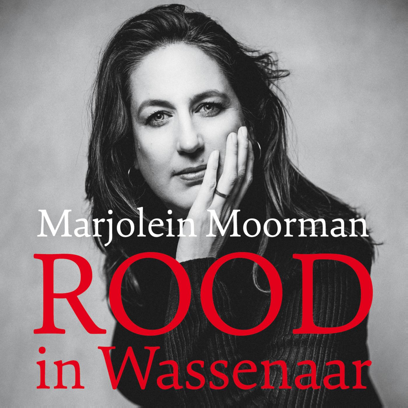 Omslag van Rood in Wassenaar
