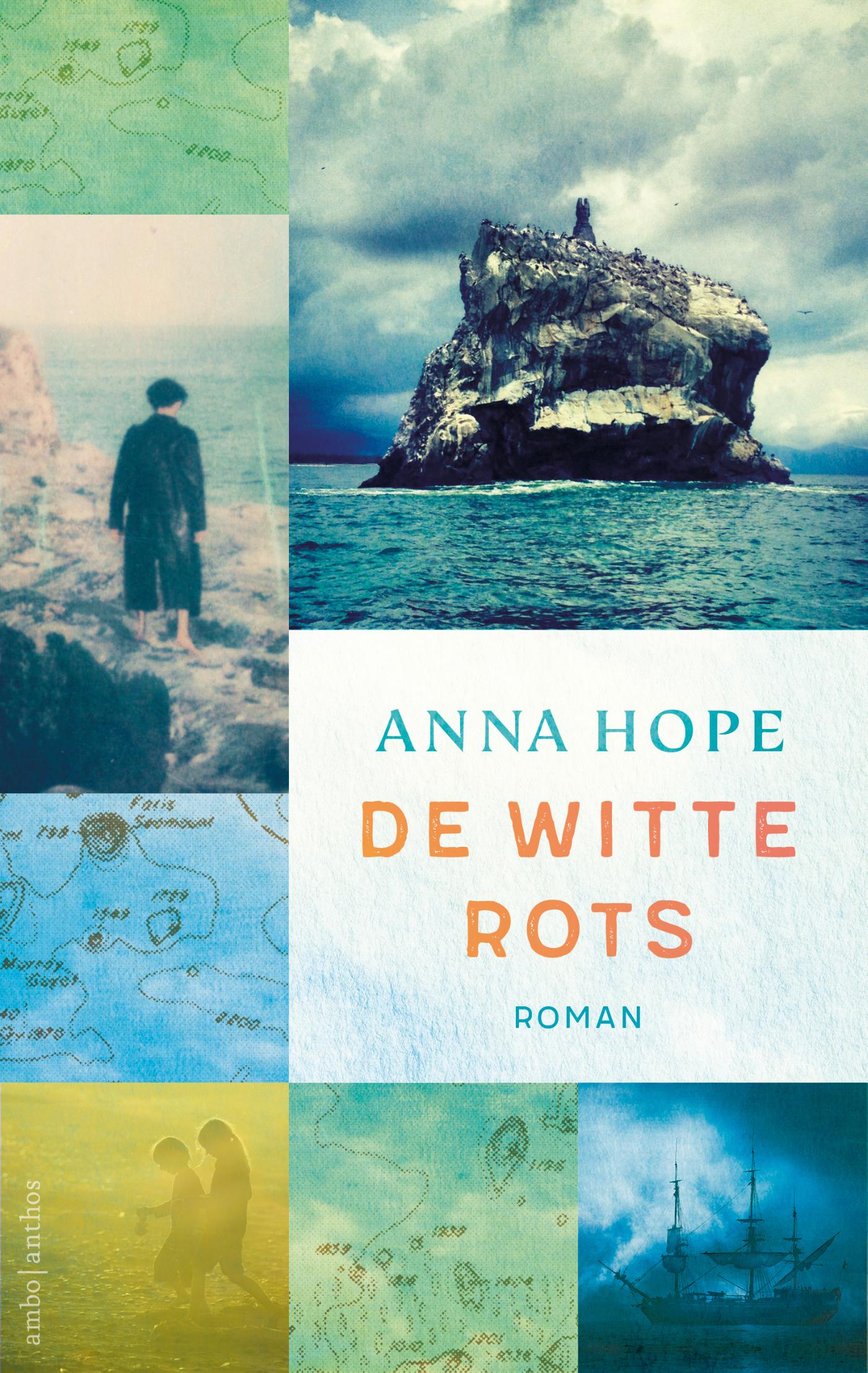Omslag van De witte rots