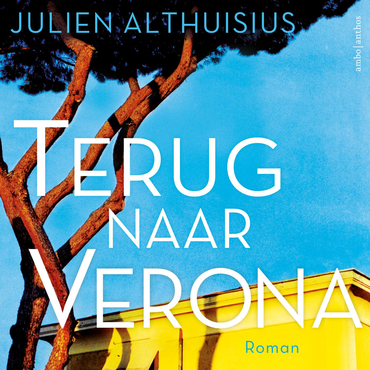 Omslag van Terug naar Verona