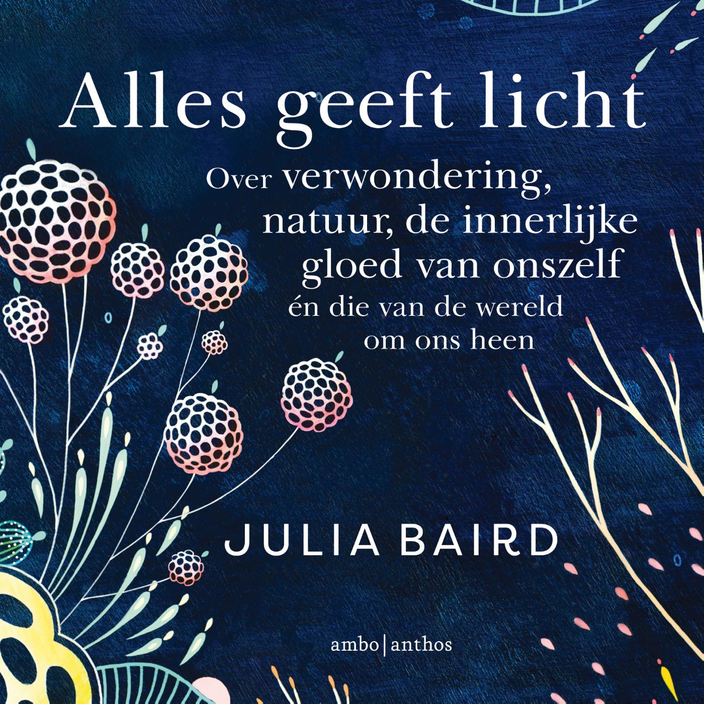 Omslag van Alles geeft licht