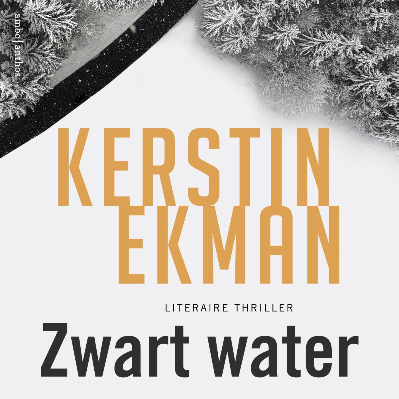 Omslag van Zwart water