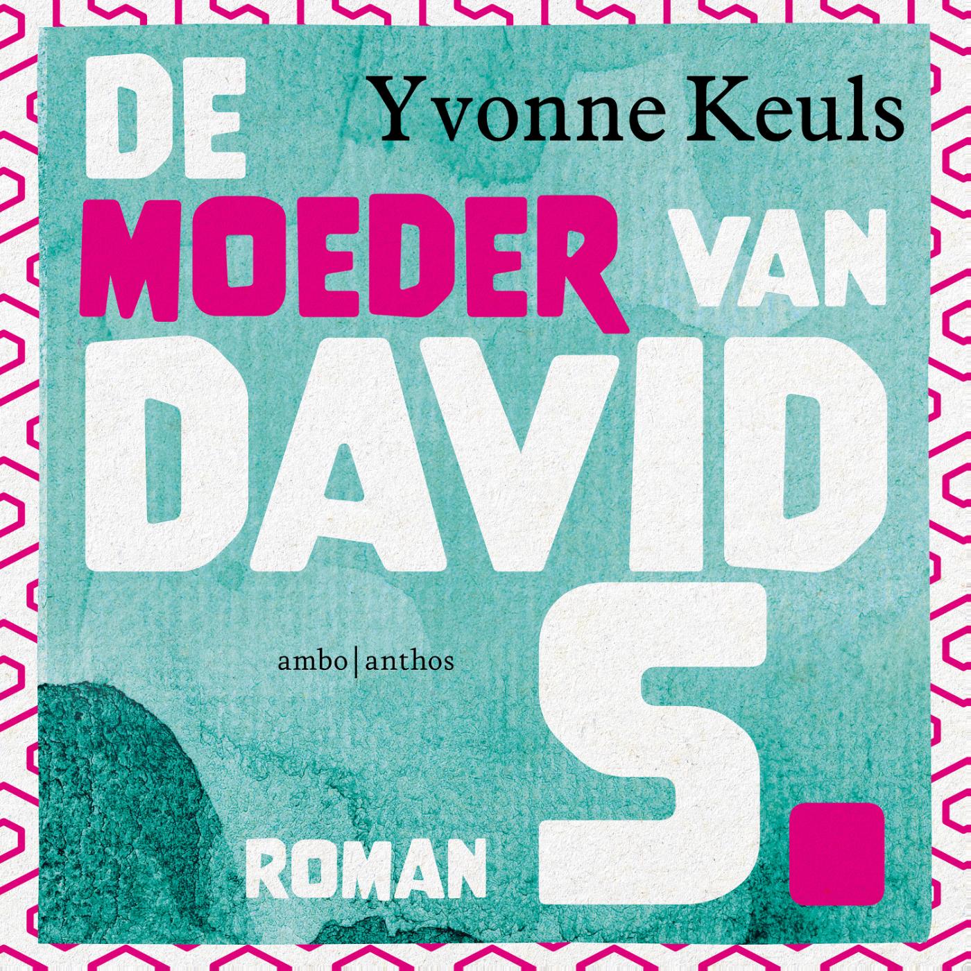 Omslag van De moeder van David S.