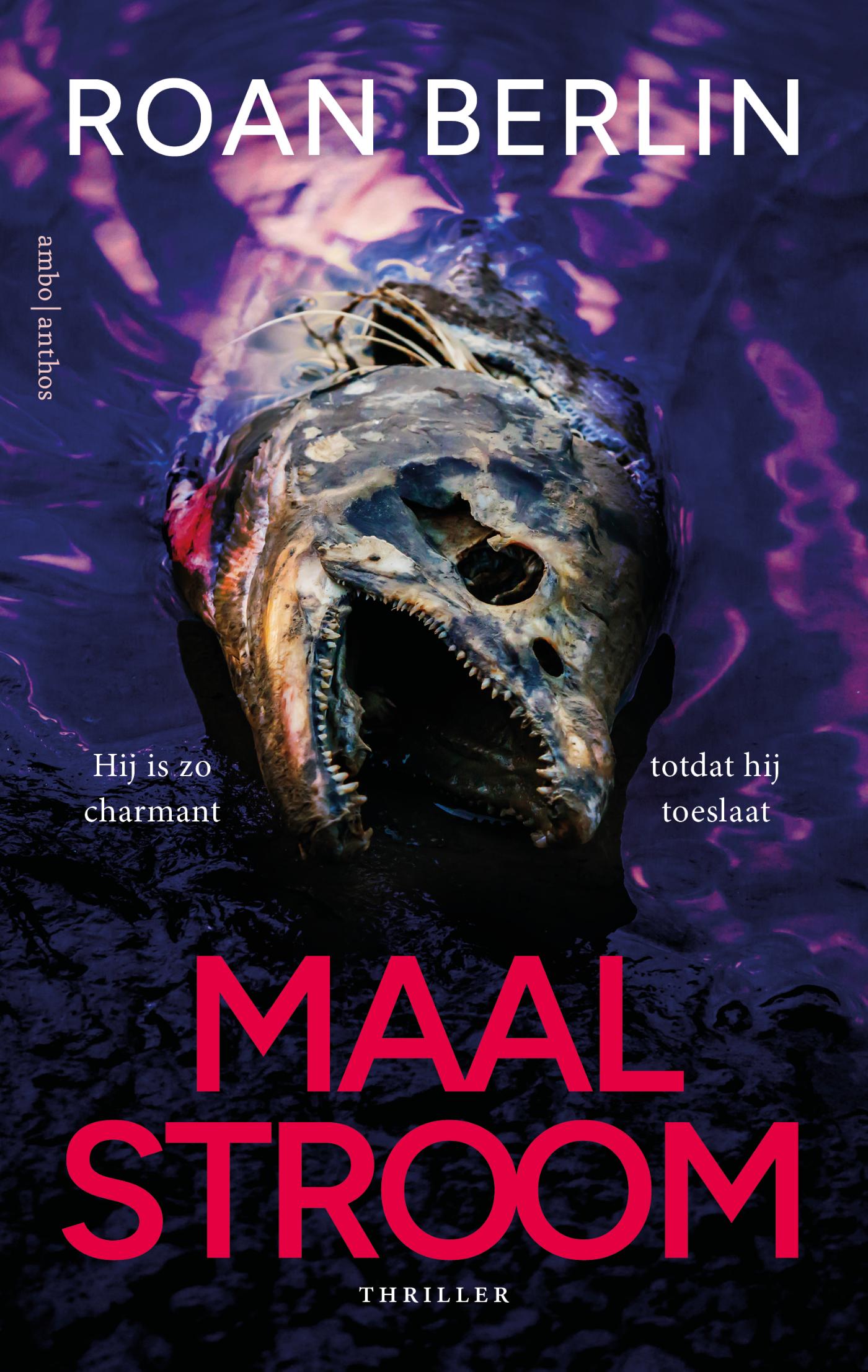 Omslag van Maalstroom