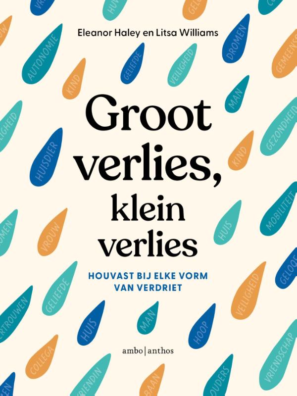 Omslag van Groot verlies, klein verlies