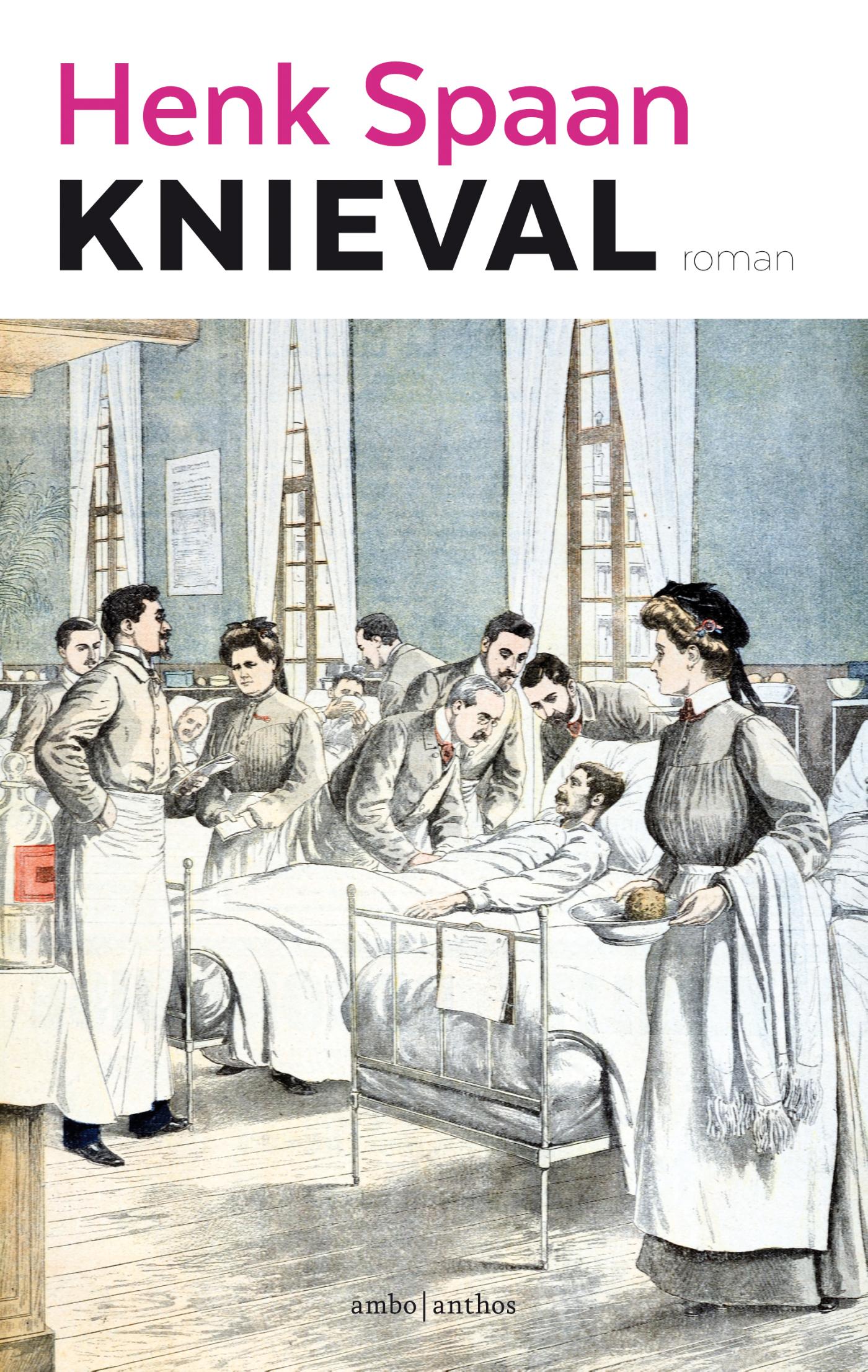 Omslag van Knieval