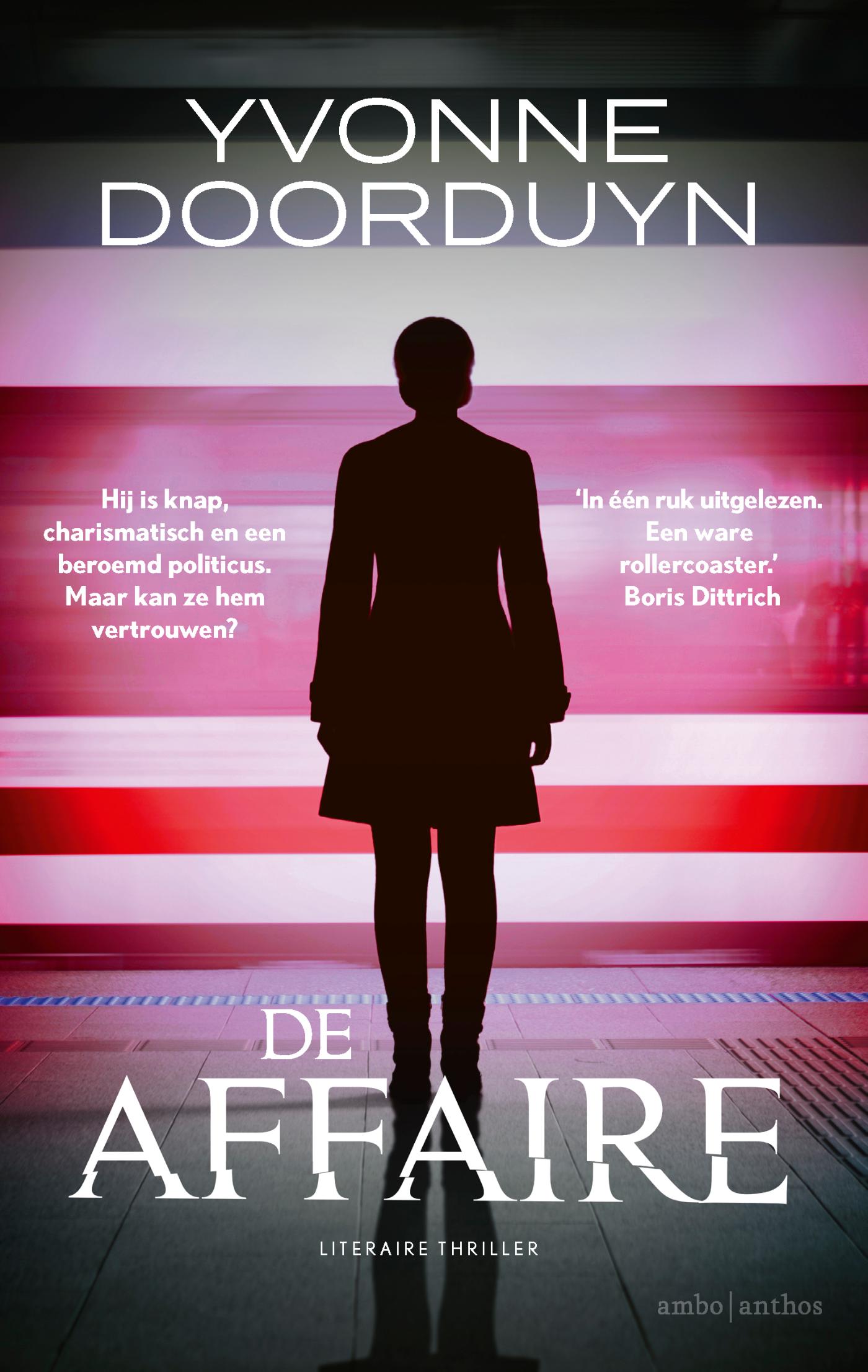 Omslag van De affaire