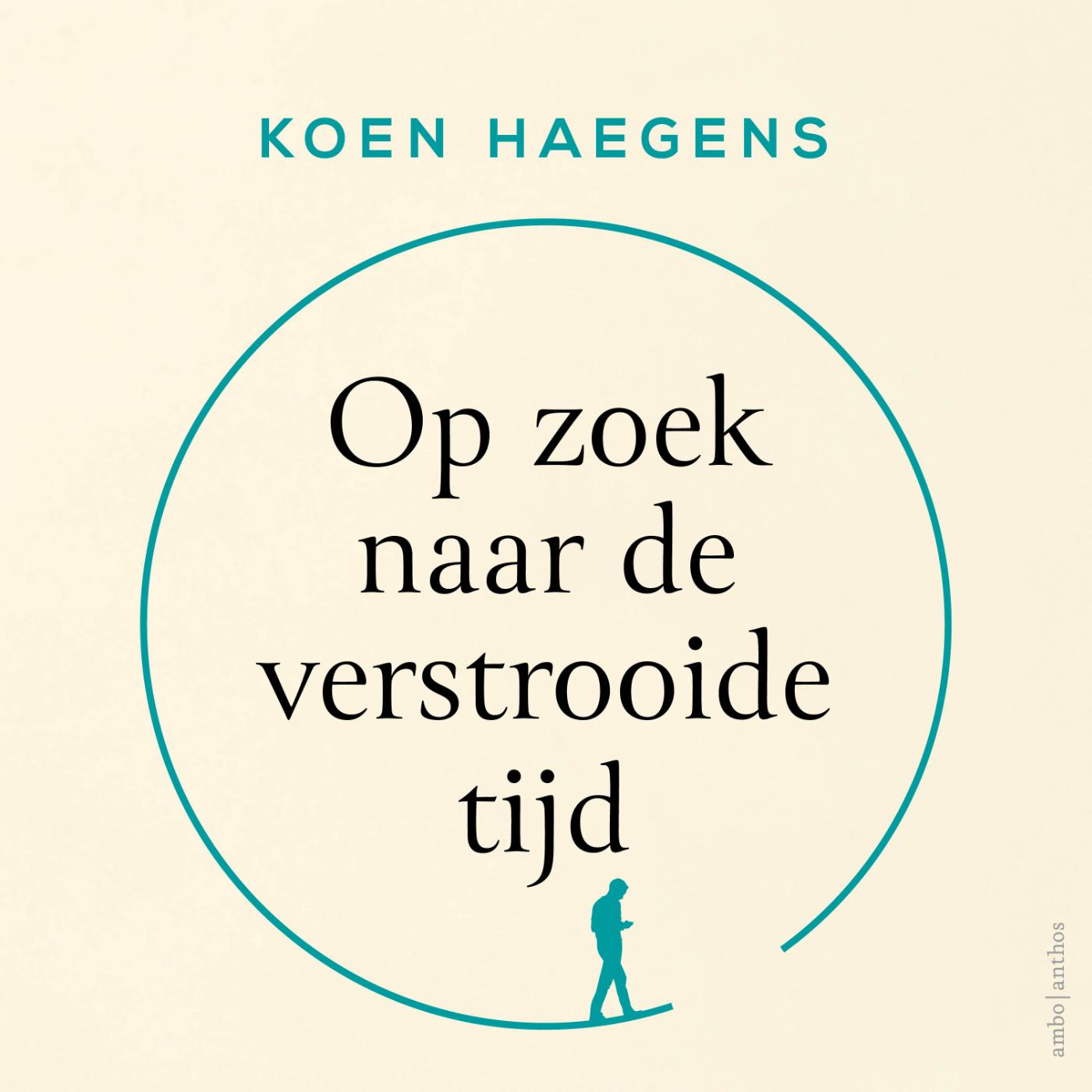 Omslag van Op zoek naar de verstrooide tijd