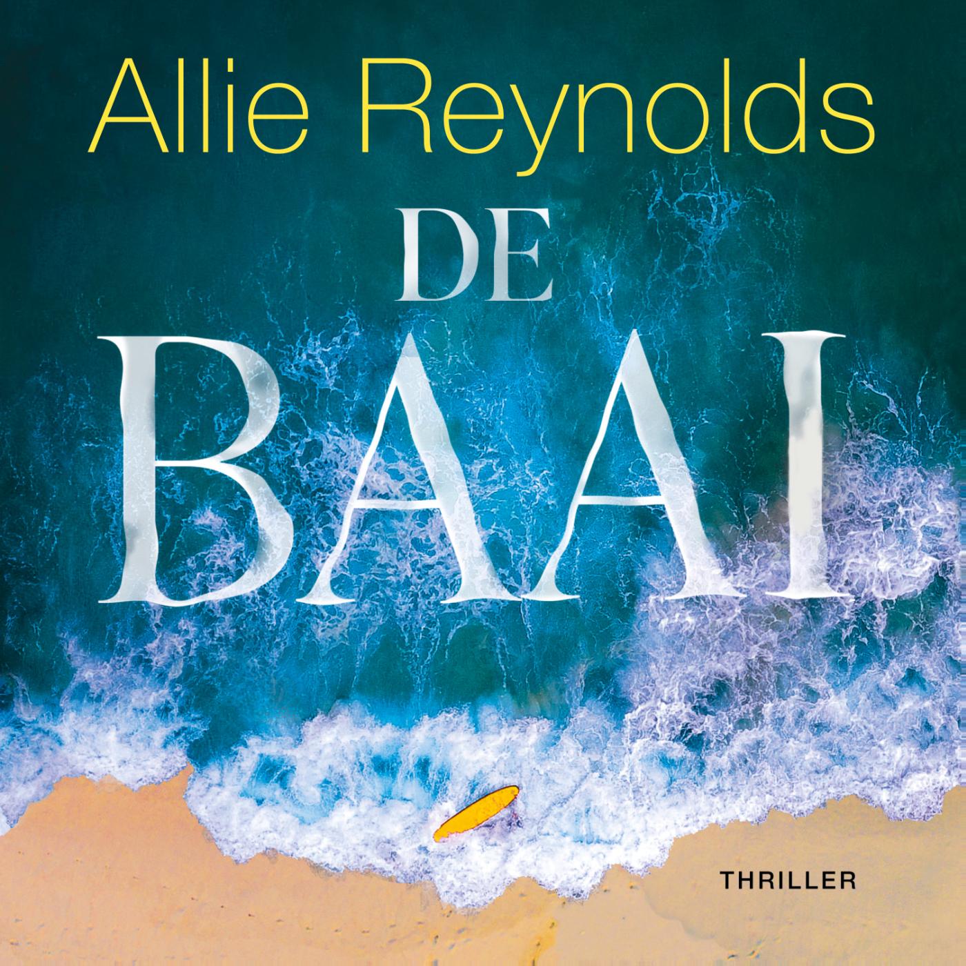Omslag van De baai