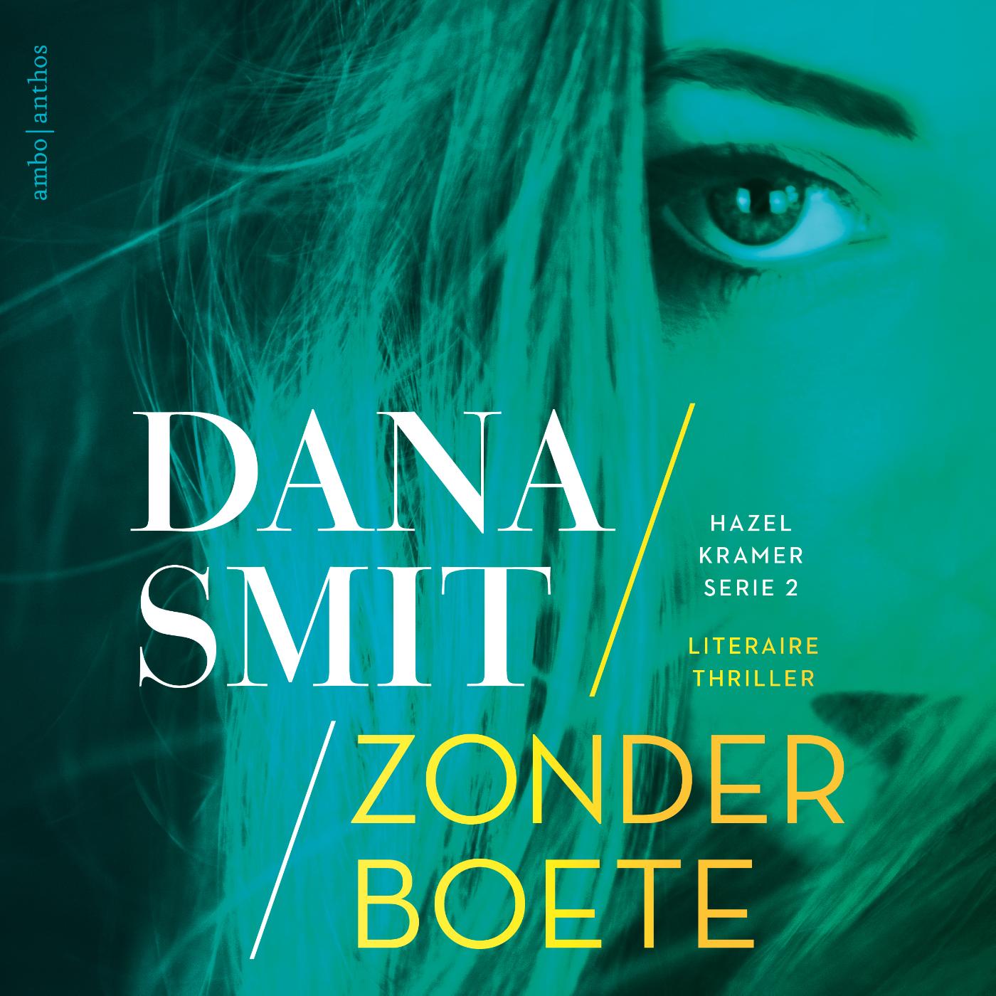 Omslag van Zonder boete