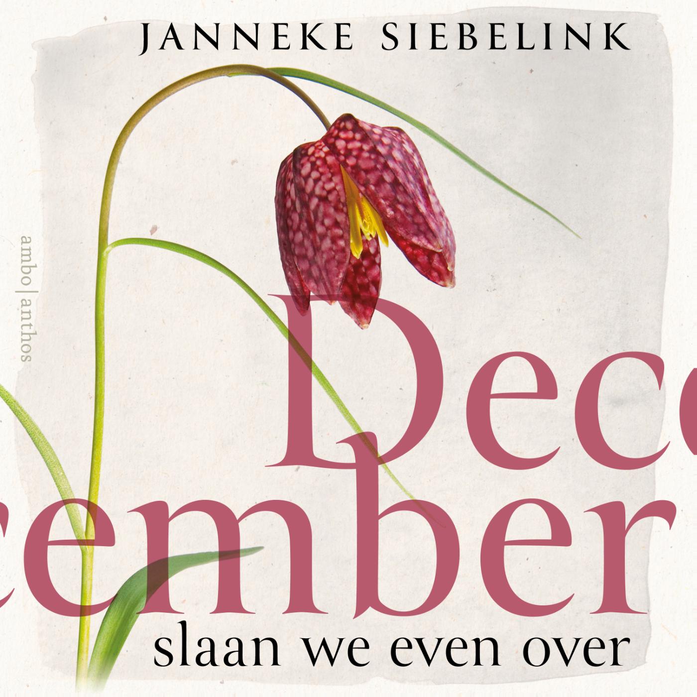 Omslag van December slaan we even over