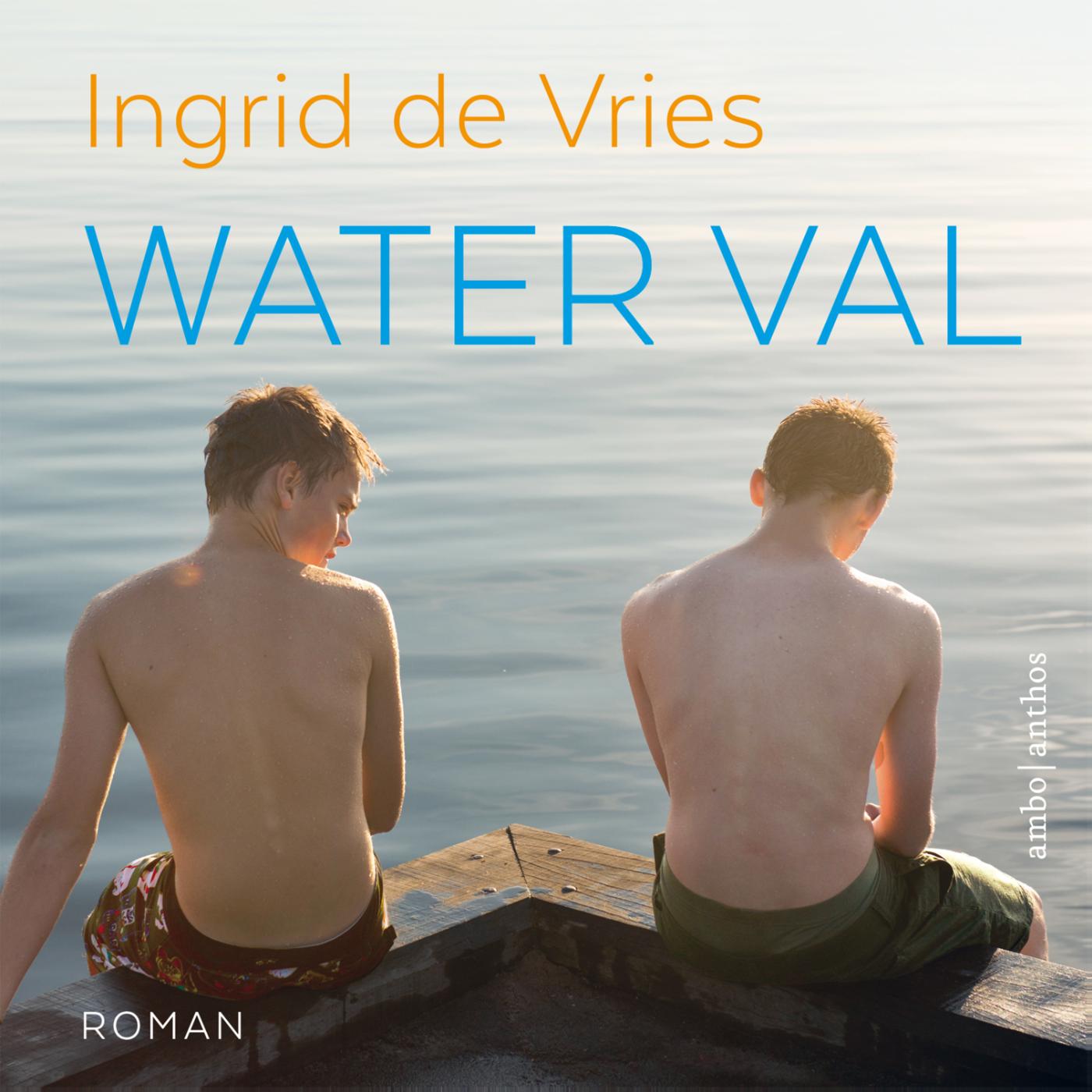 Omslag van Water val