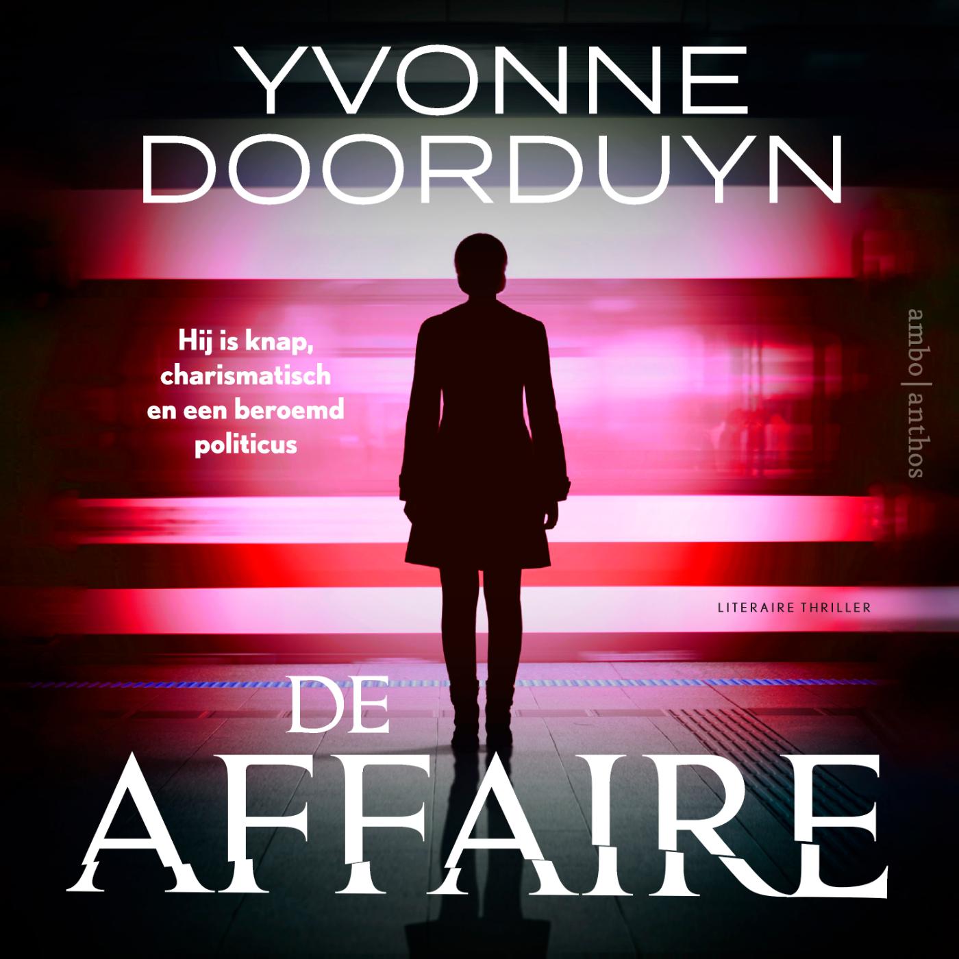 Omslag van De affaire