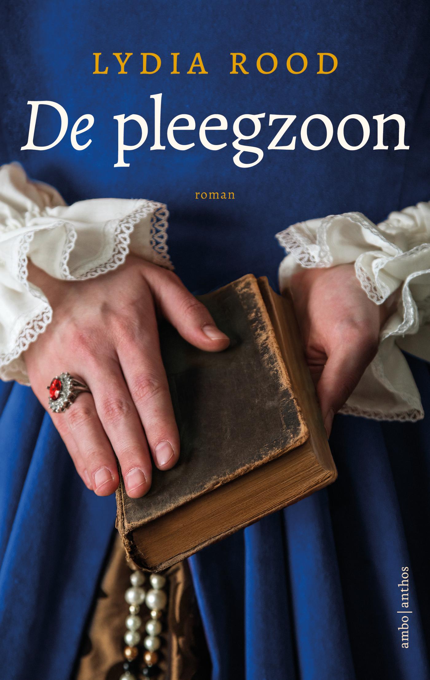 Omslag van De pleegzoon