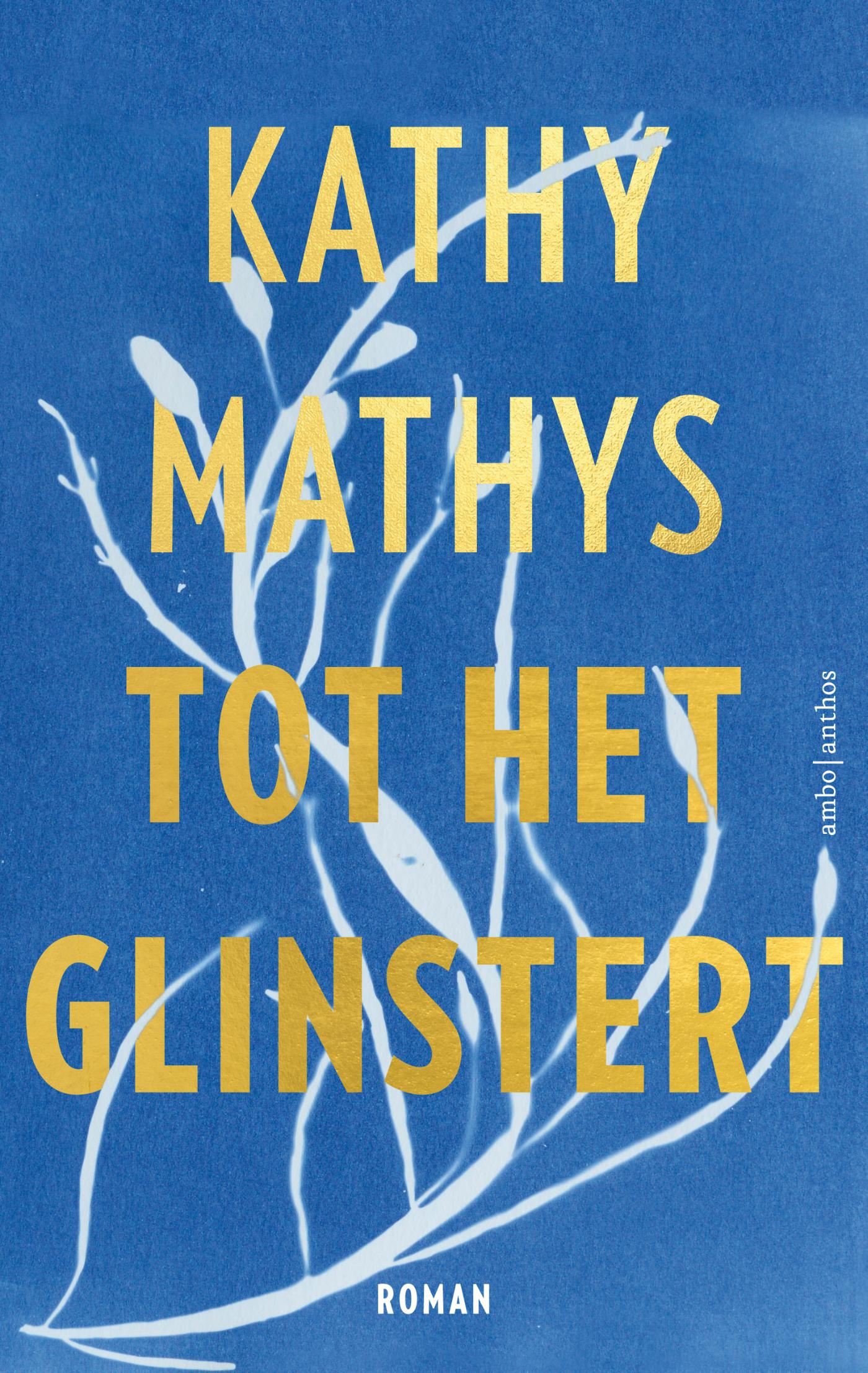 Omslag van Tot het glinstert