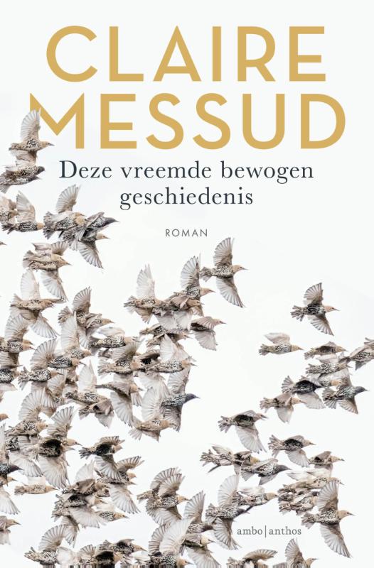 Omslag van Deze vreemde bewogen geschiedenis