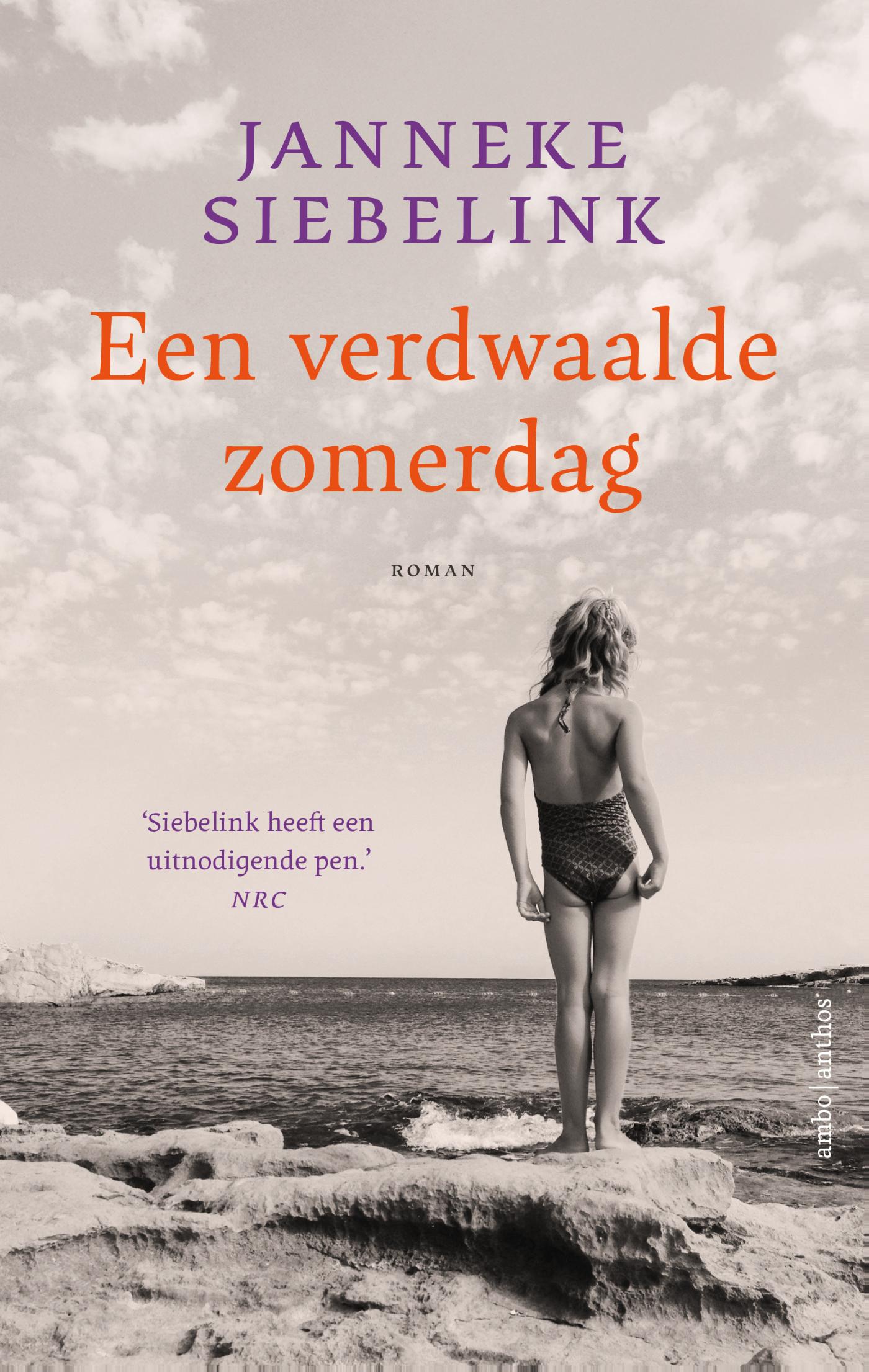 Omslag van Een verdwaalde zomerdag