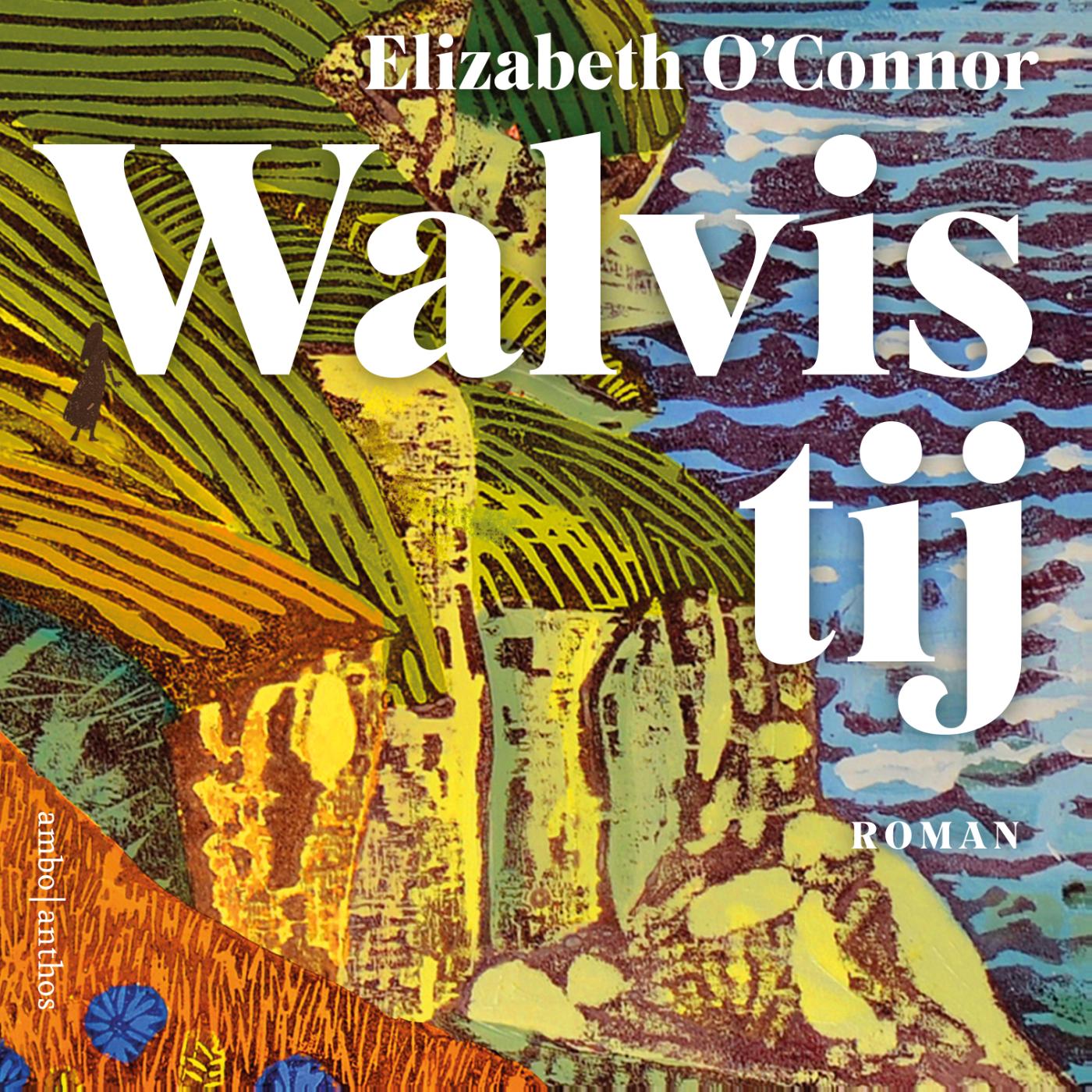 Omslag van Walvistij