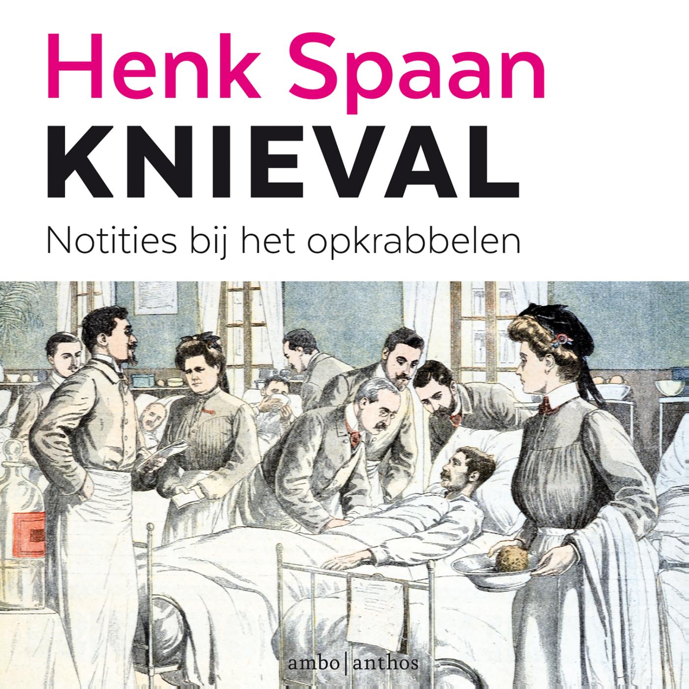 Omslag van Knieval