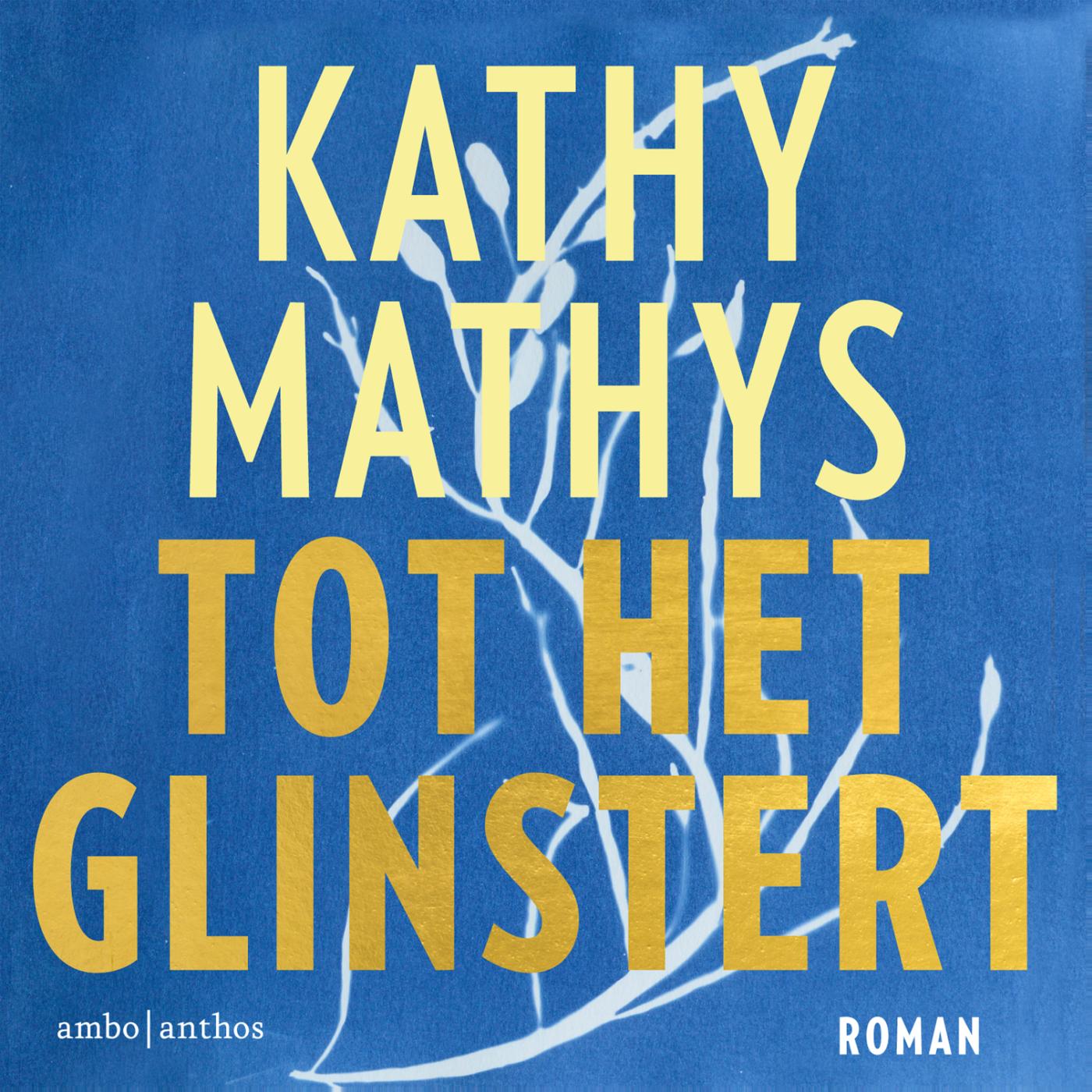 Omslag van Tot het glinstert