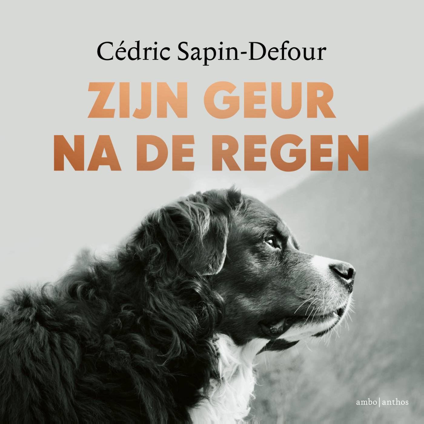 Omslag van Zijn geur na de regen