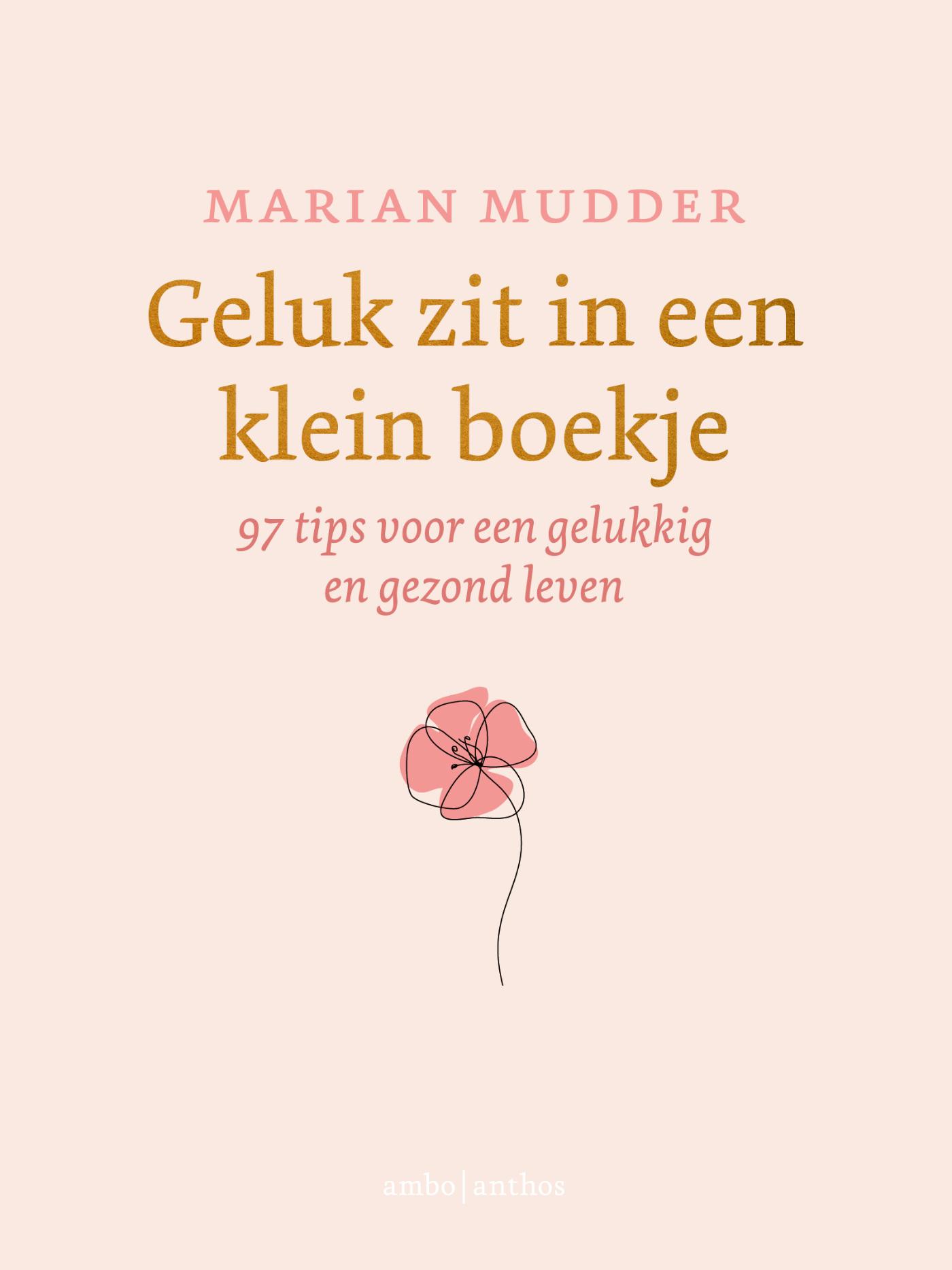 Omslag van Geluk zit in een klein boekje